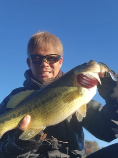 ラージマウスバスの釣果