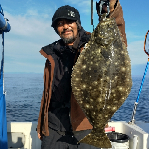 ヒラメの釣果