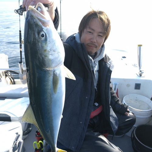 ワラサの釣果