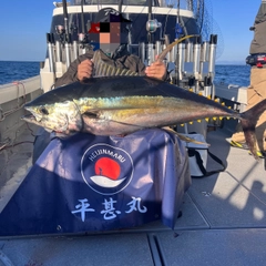 キハダマグロの釣果