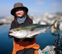 ブリの釣果