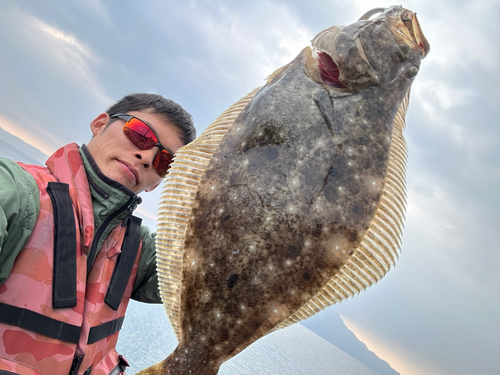 ヒラメの釣果