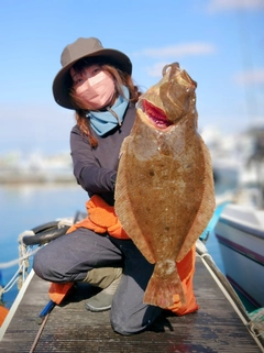 ヒラメの釣果