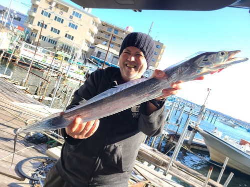 タチウオの釣果