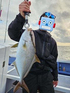 ヒレナガカンパチの釣果