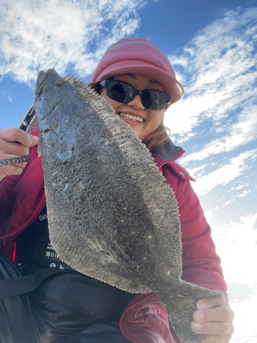 ヒラメの釣果