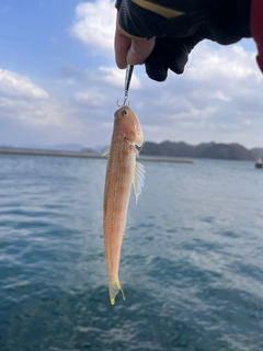 釣果