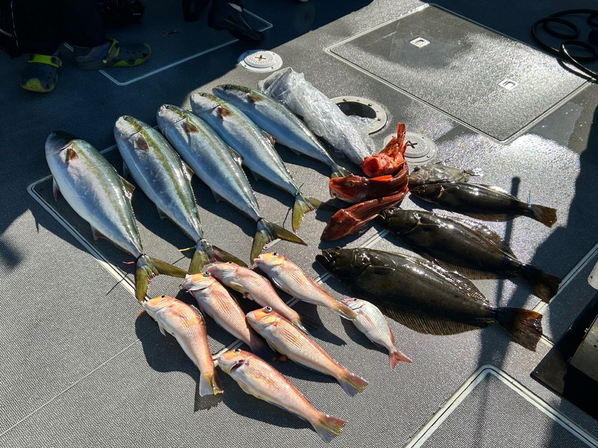 🐟若旦那🐟さんの釣果 2枚目の画像