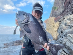 イシダイの釣果