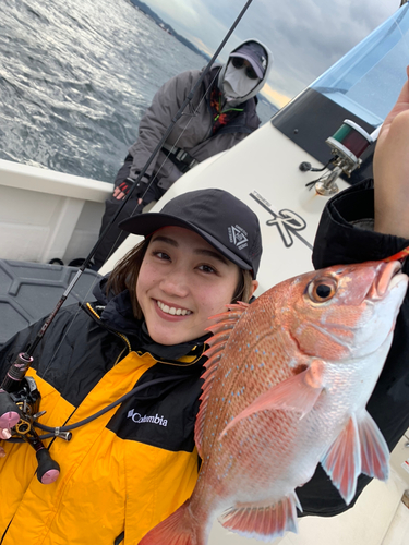 マダイの釣果