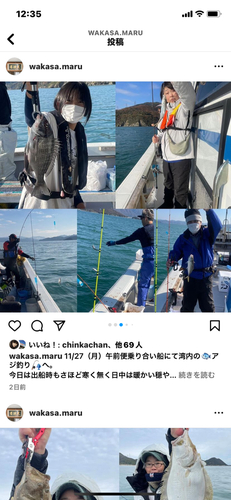 アジの釣果