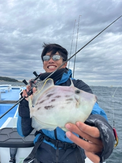 カワハギの釣果