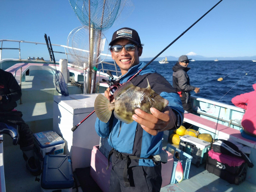 カワハギの釣果