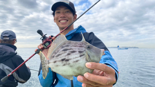 カワハギの釣果