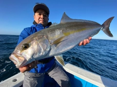 カンパチの釣果