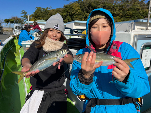 マアジの釣果