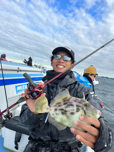 カワハギの釣果