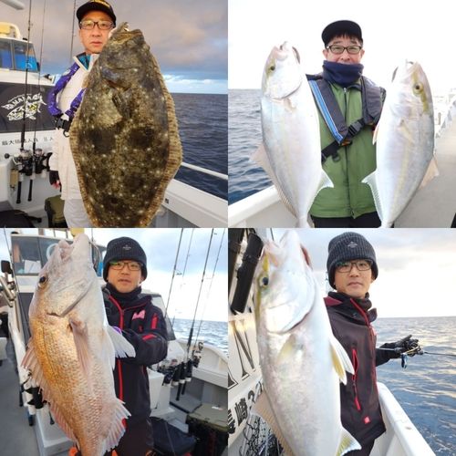 カンパチの釣果