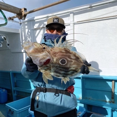 マトウダイの釣果