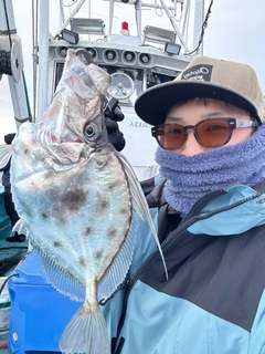 カガミダイの釣果