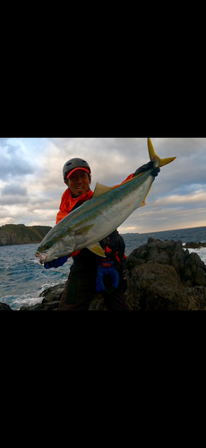 ワラサの釣果