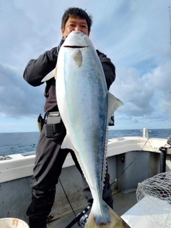 ブリの釣果