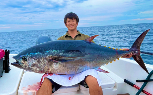 クロマグロの釣果