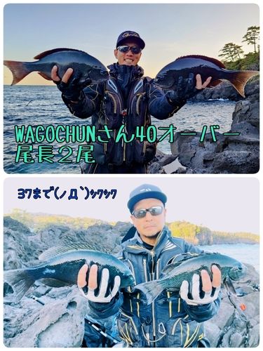 クチブトグレの釣果