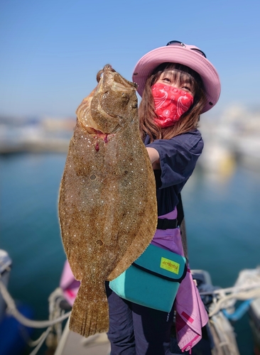 ヒラメの釣果