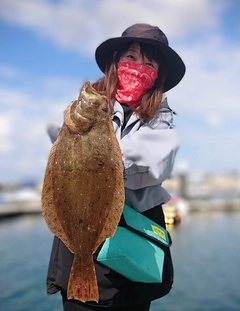 ヒラメの釣果