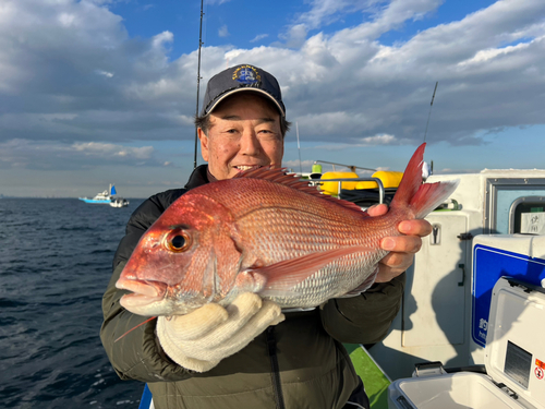 マダイの釣果