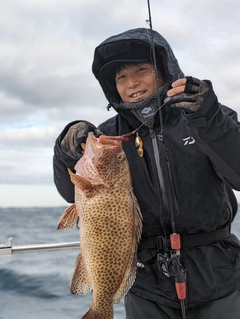 オオモンハタの釣果