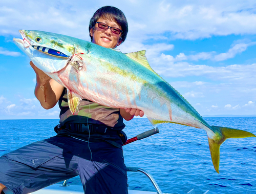 ブリの釣果