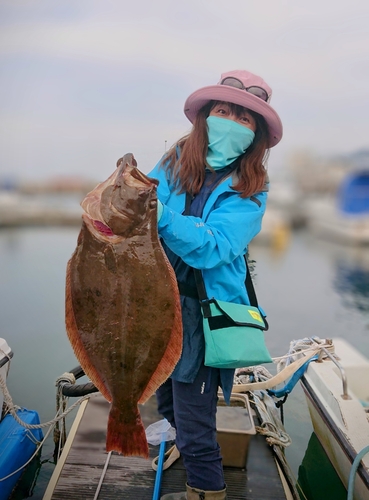 ヒラメの釣果