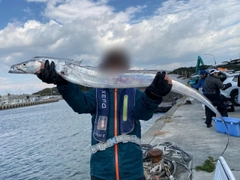 タチウオの釣果