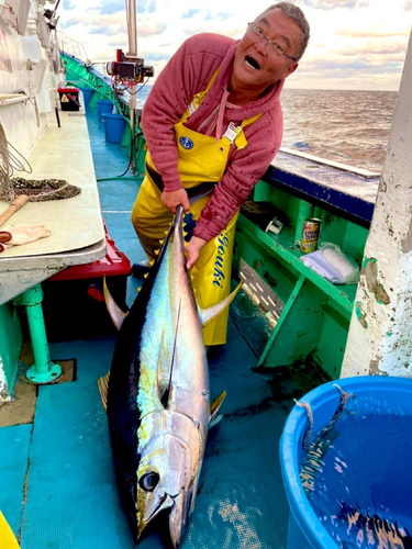 キハダマグロの釣果