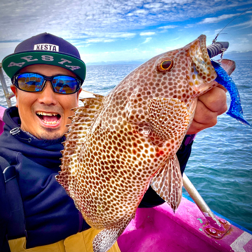 オオモンハタの釣果