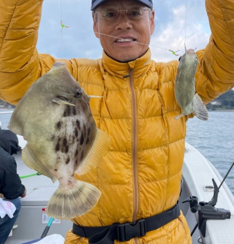 カワハギの釣果