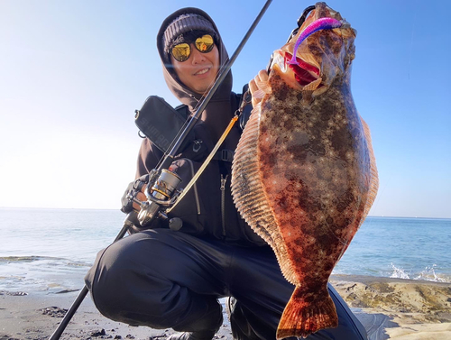 ヒラメの釣果