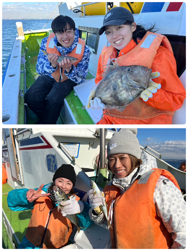 マアジの釣果