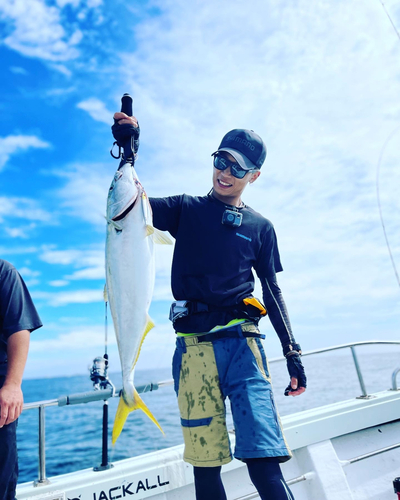 ハマチの釣果