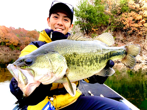 ブラックバスの釣果