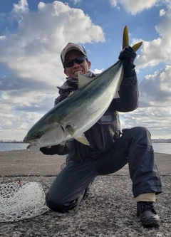 ブリの釣果