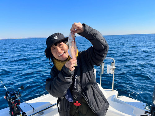 アマダイの釣果