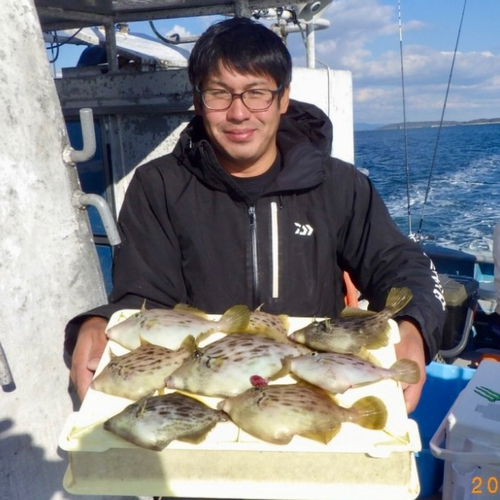 カワハギの釣果