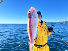 アマダイの釣果