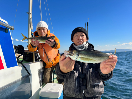 マアジの釣果