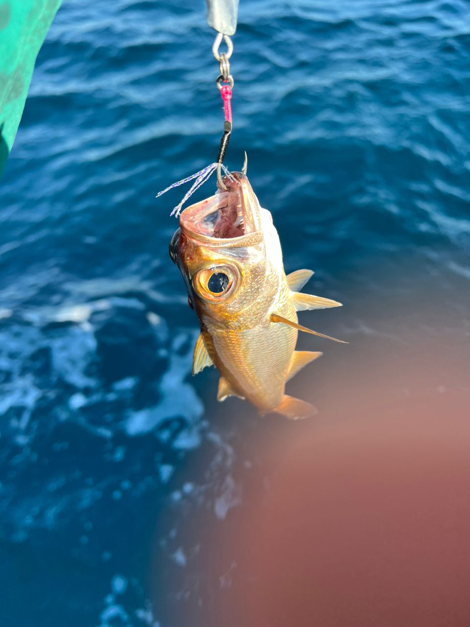 ちあきちさんの釣果 3枚目の画像