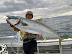 ヒラマサの釣果