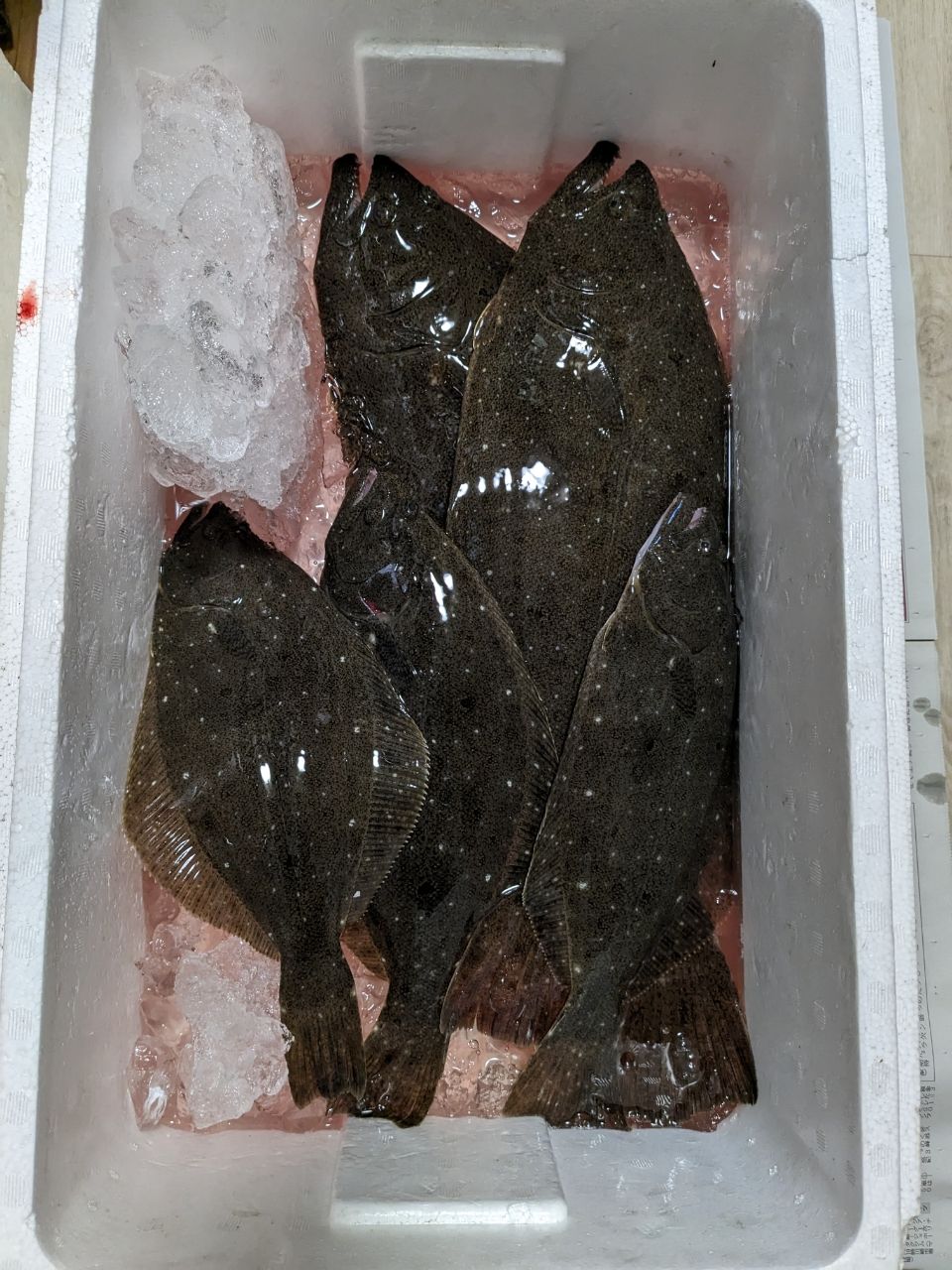 エビタローさんの釣果 2枚目の画像